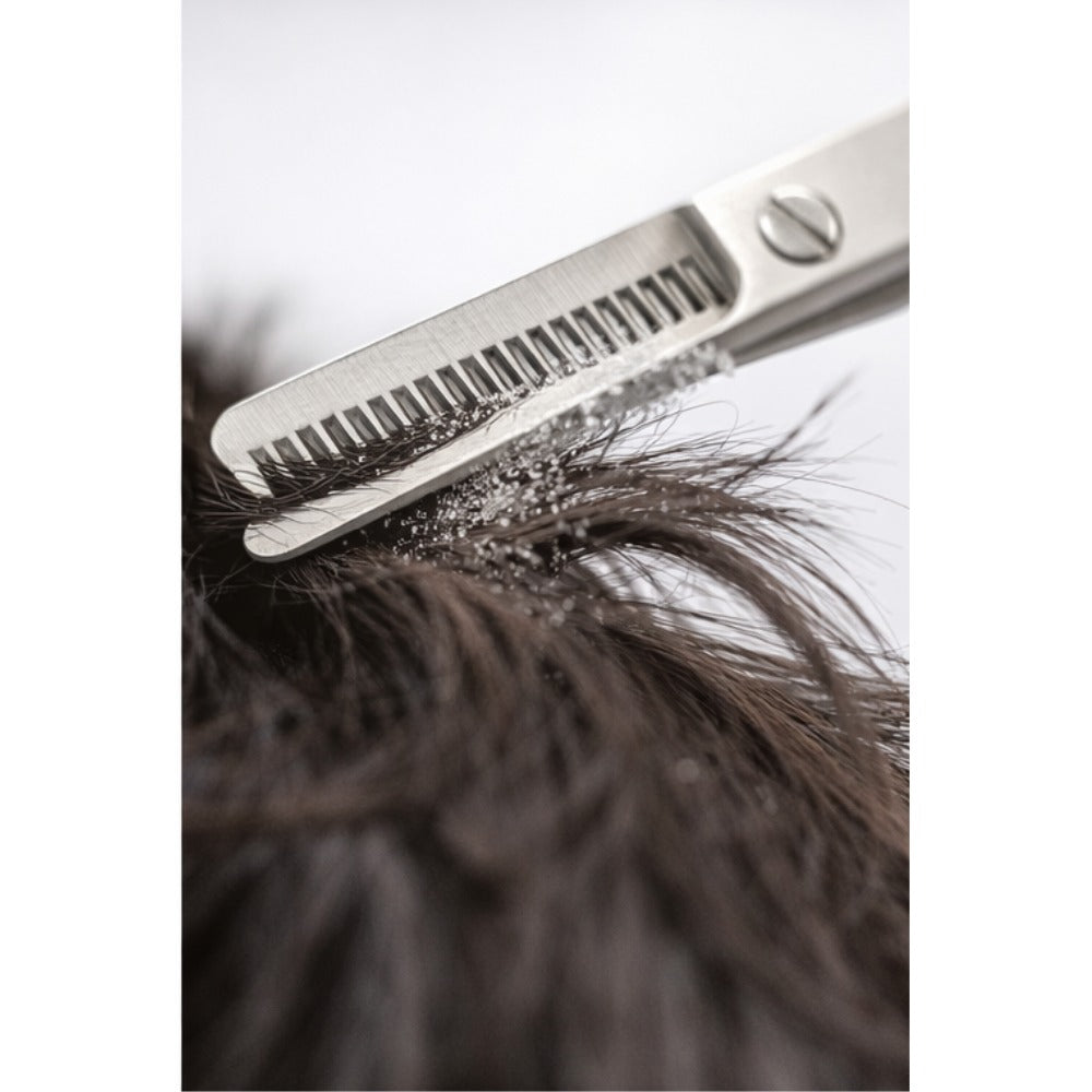 Henbor Thinning Scissor 6.5” Plastic Handle – Professional Hair Shears